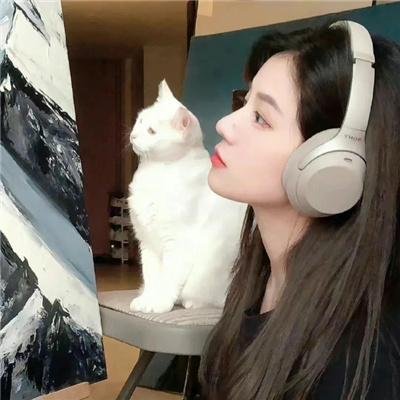 反诈骗行动组