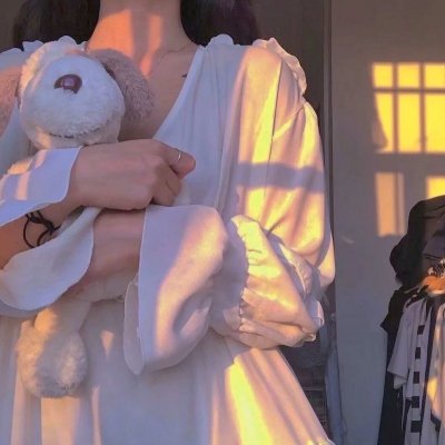 魔法师的猫
